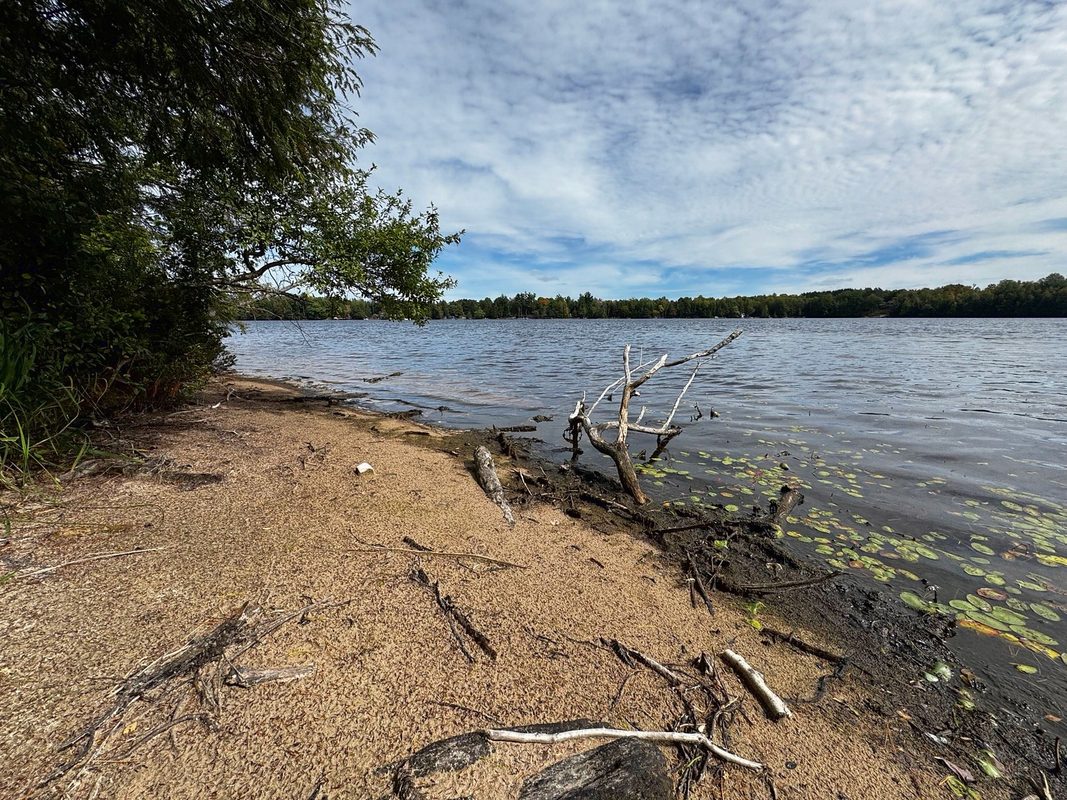 000 Winter Road, Elcho WI 54424 - Land house for sale - MLS #1605846 - image3