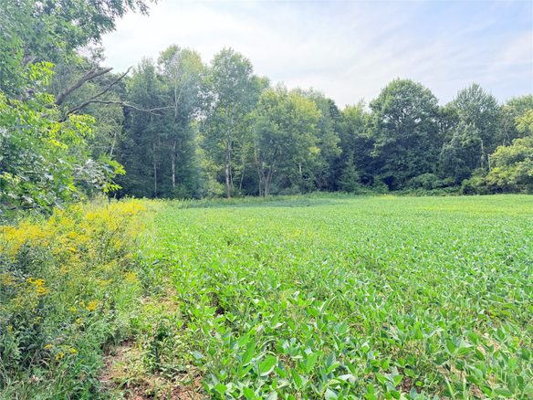10 Acres Lot 4 230th Street, St Croix Falls WI 54024 - Land house for sale - MLS #1606210 - image1