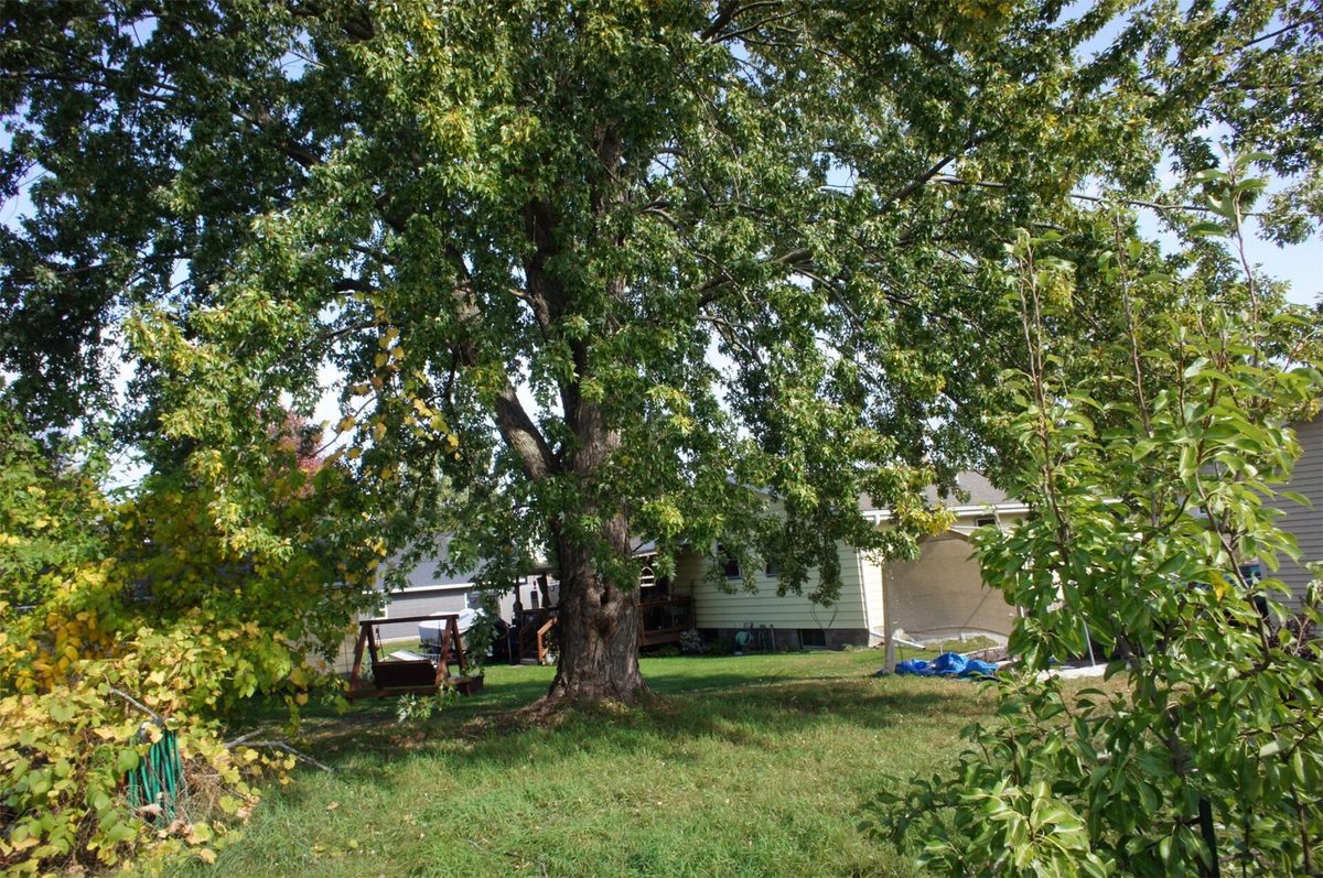 359 State Street, Mondovi WI 54755 - Residential house for sale - MLS #1605945 - image25