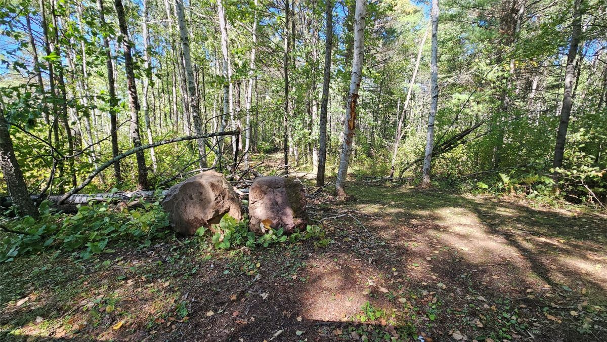 1-7 Larson Road, Hayward WI 54843 - Land house for sale - MLS #1605167 - image18