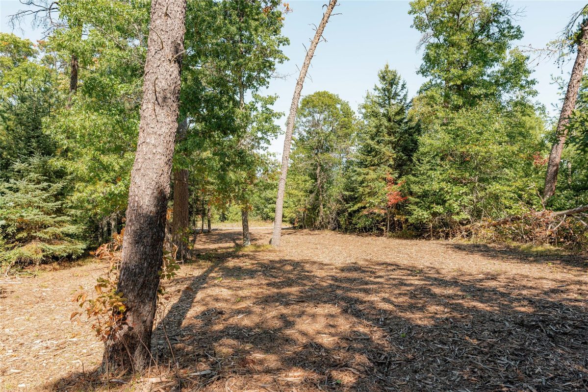 0 County Road T, Minong WI 54859 - Land house for sale - MLS #1605534 - image12