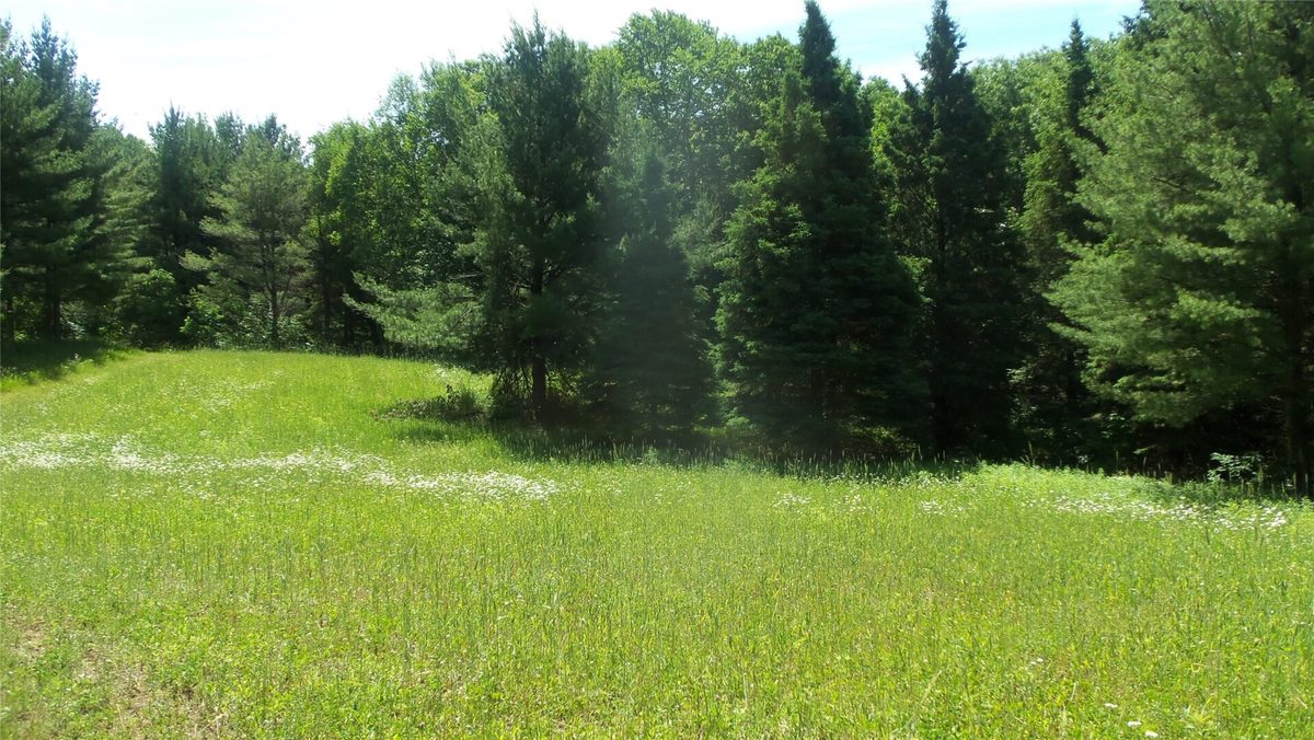 XXX Bashaw Store Road, Shell Lake WI 54871 - Land house for sale - MLS #1603494 - image21
