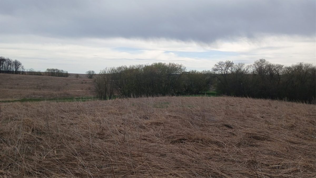 62 Acres 82nd St, Bloomer, WI — photo 3