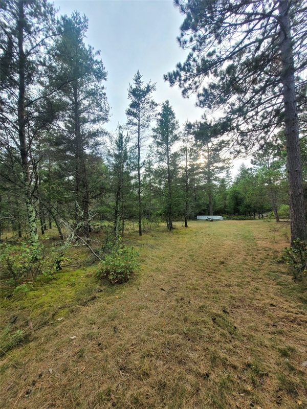 0 Blueberry Rd, Gordon WI 54838 - Land house for sale - MLS #1604990 - image6