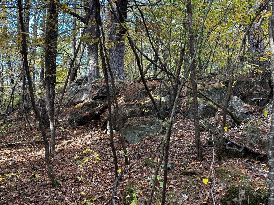 3461 56th, Frederic WI 54837 - Land house for sale - MLS #1605729 - image20