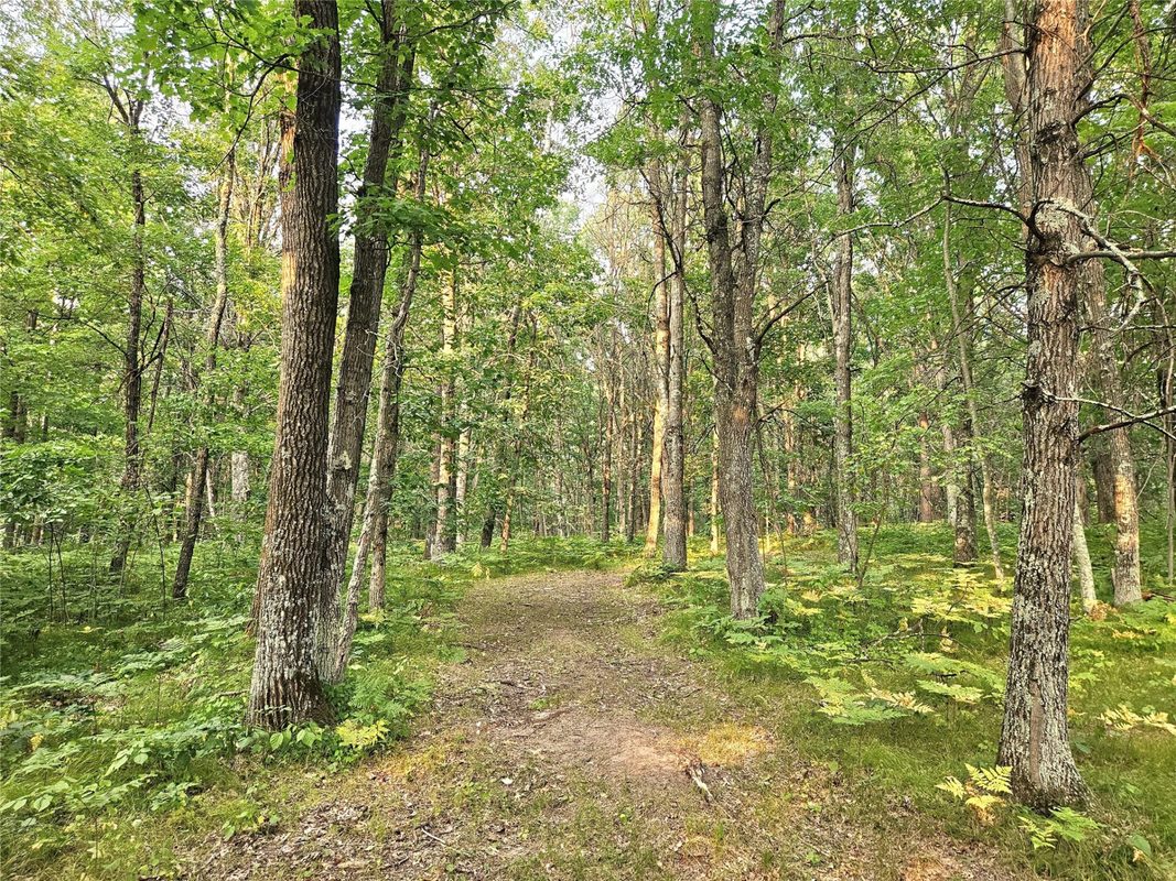 N8356 Lincoln Lake Road, Trego WI 54888 - Land house for sale - MLS #1604319 - image10