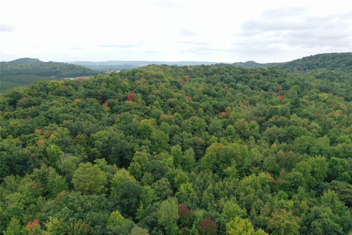 W02 State Highway 64, Colfax WI 54730 - Land house for sale - MLS #1604529 - image41