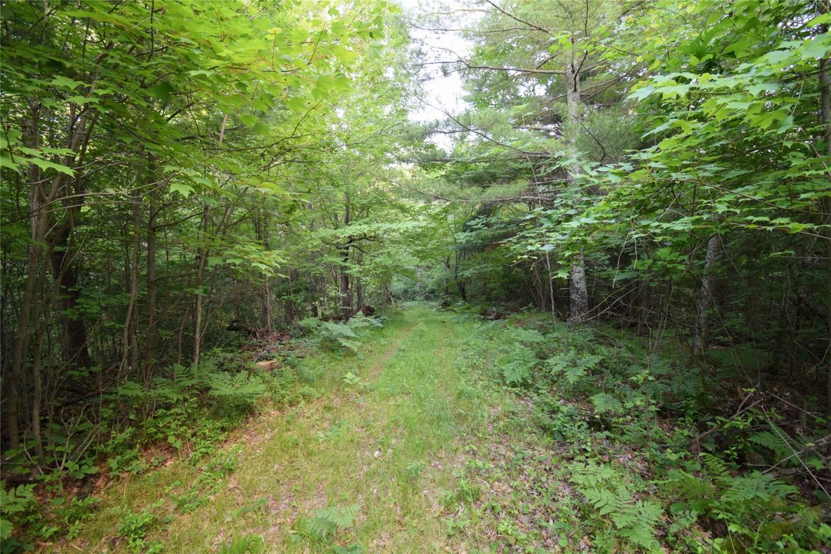 7230 County Road U, Danbury WI 54830 - Land house for sale - MLS #1602895 - image24