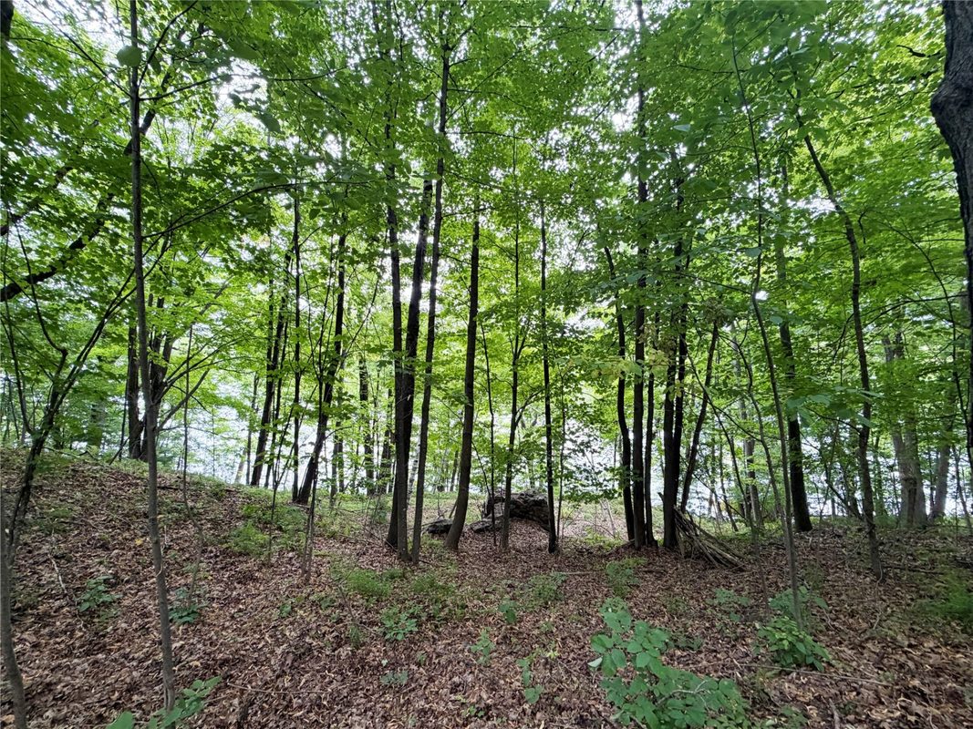 1101 5th Street, Ladysmith WI 54848 - Land house for sale - MLS #1598875 - image9