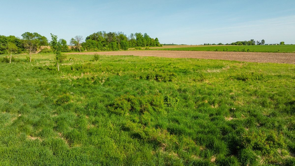 0 Nyes Road, Stanley WI 54768 - Land house for sale - MLS #1601802 - image20