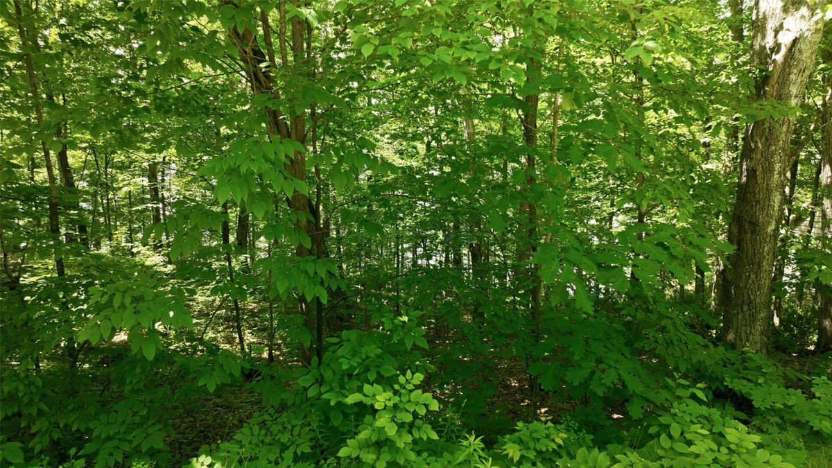 16734 Maple Terrace Drive, Birchwood WI 54817 - Land house for sale - MLS #1600112 - image2