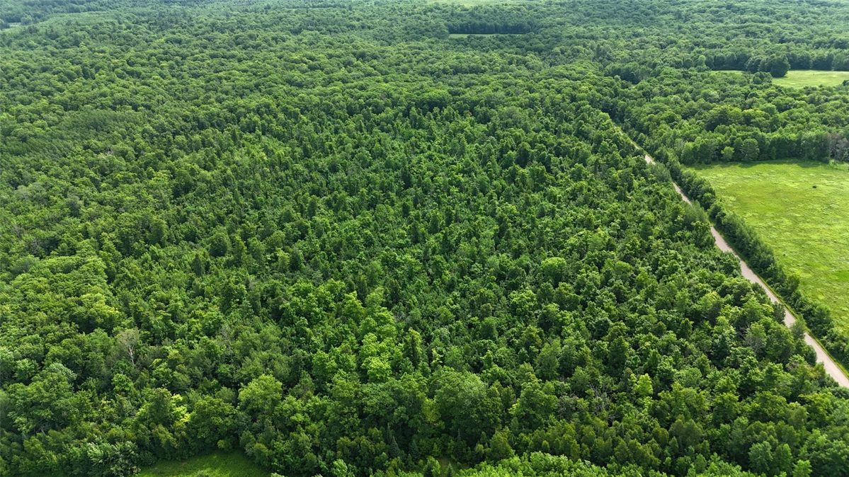 XXX Eckel Lane, Couderay WI 54835 - Land house for sale - MLS #1603143 - image28