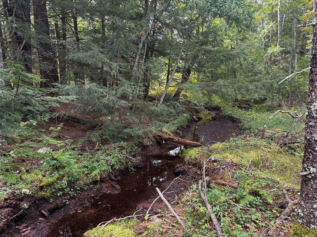 000 Winter Road, Elcho WI 54424 - Land house for sale - MLS #1605846 - image38