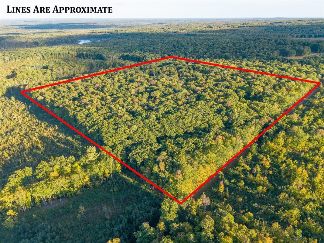 38.2 Acres Vierck Lane, Exeland WI 54835 - Land house for sale - MLS #1605286 - image2