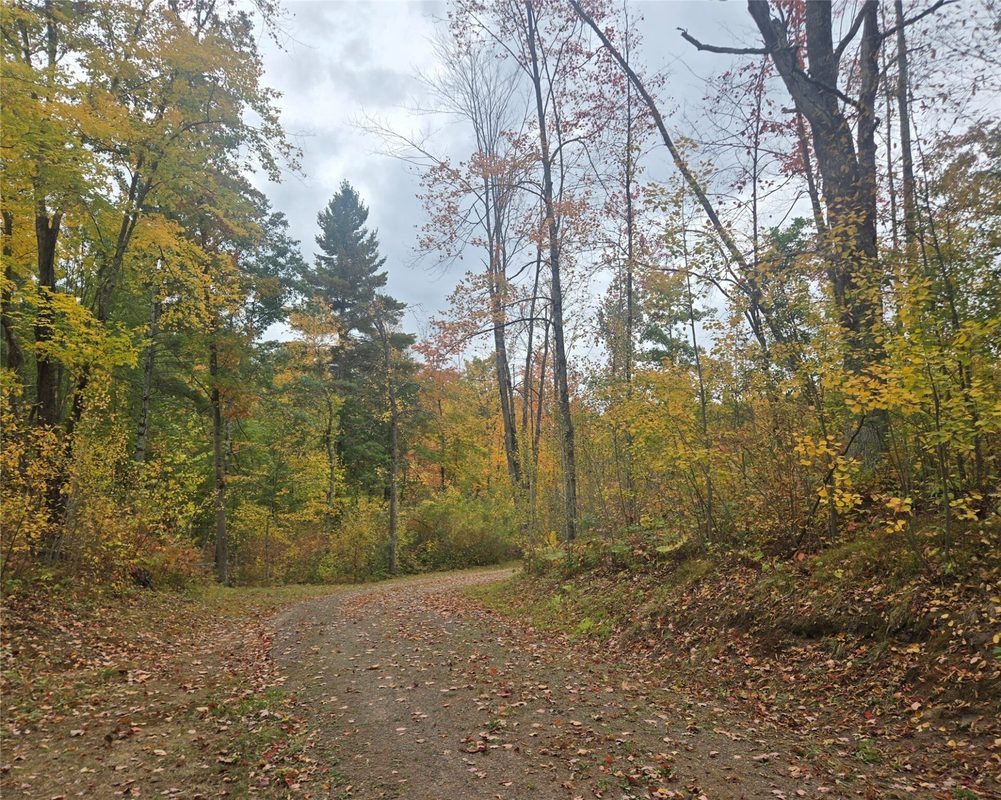 16119 Henks Road, Hayward WI 54843 - Land house for sale - MLS #1605555 - image4