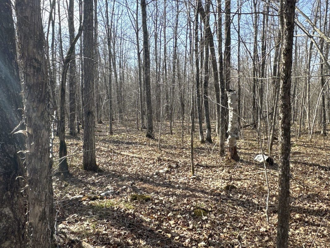 9618 W Mile Road Ladysmith WI 54848 — photo 27
