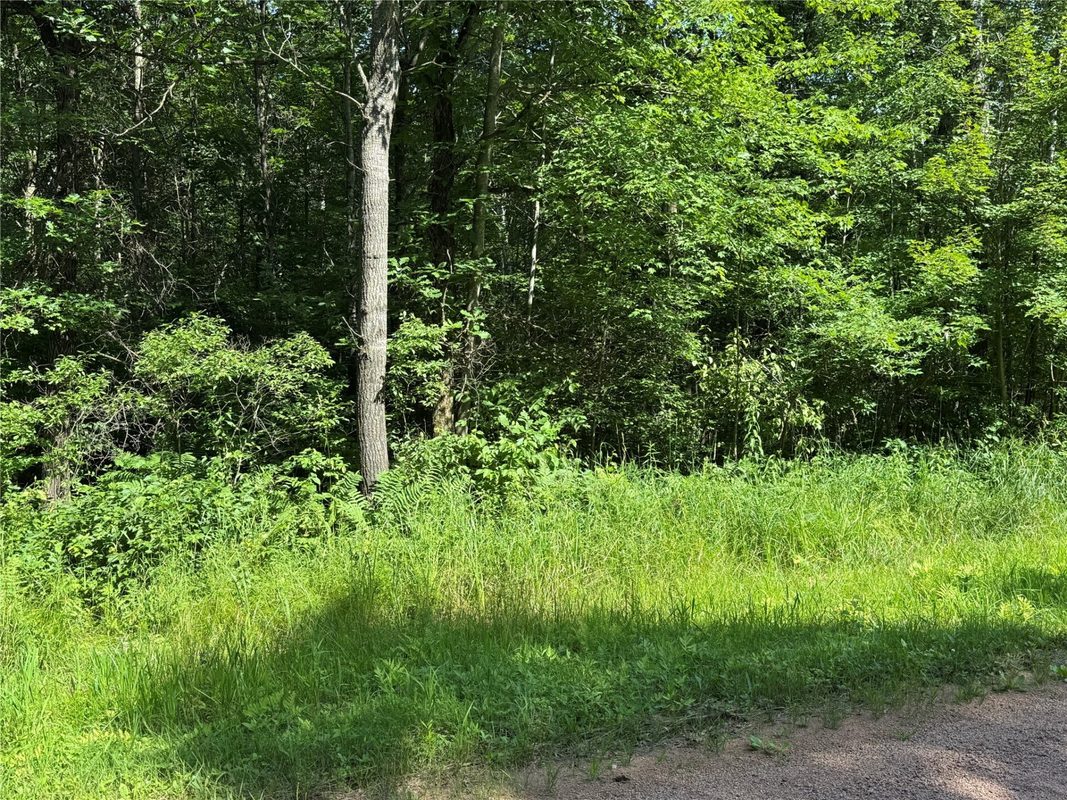 N225 Tower Road, Boyd WI 54726 - Land house for sale - MLS #1603153 - image4