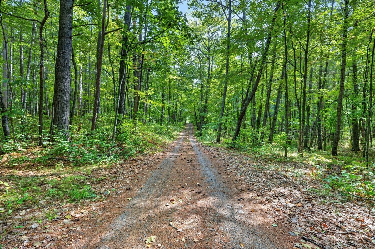 17305 Pioneer Road, Cable WI 54821 - Residential house for sale - MLS #1605116 - image3