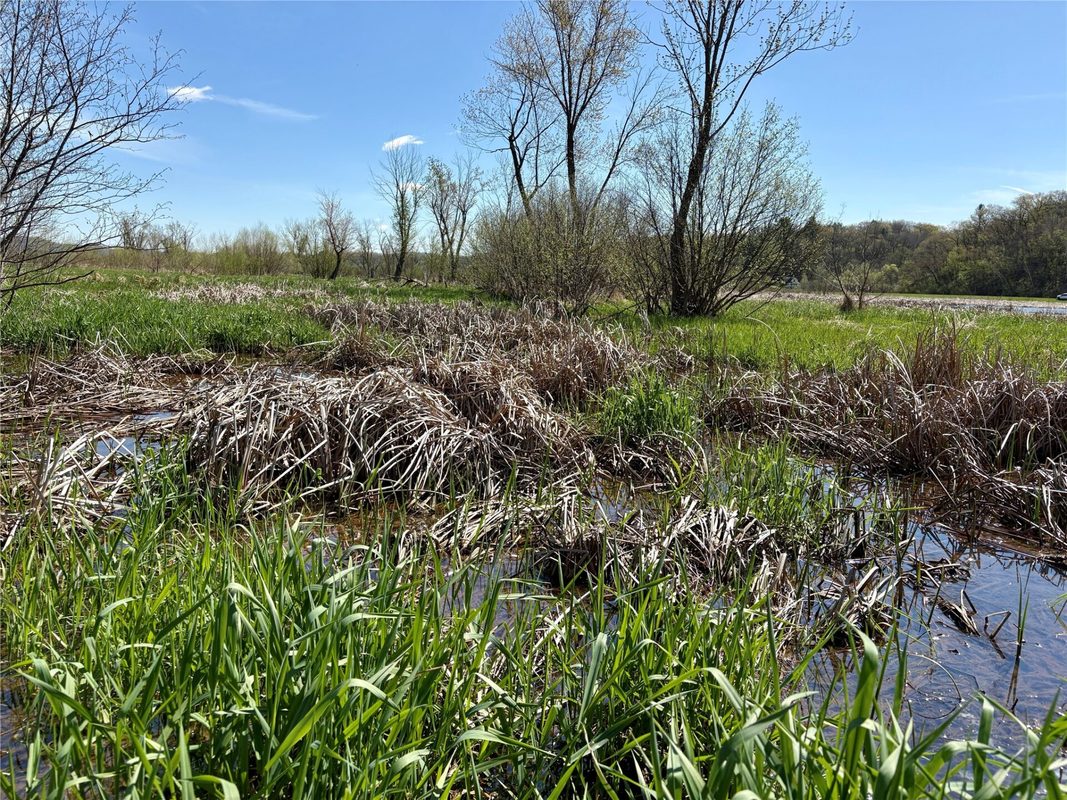 0 Hwy 37, Alma, WI — photo 10