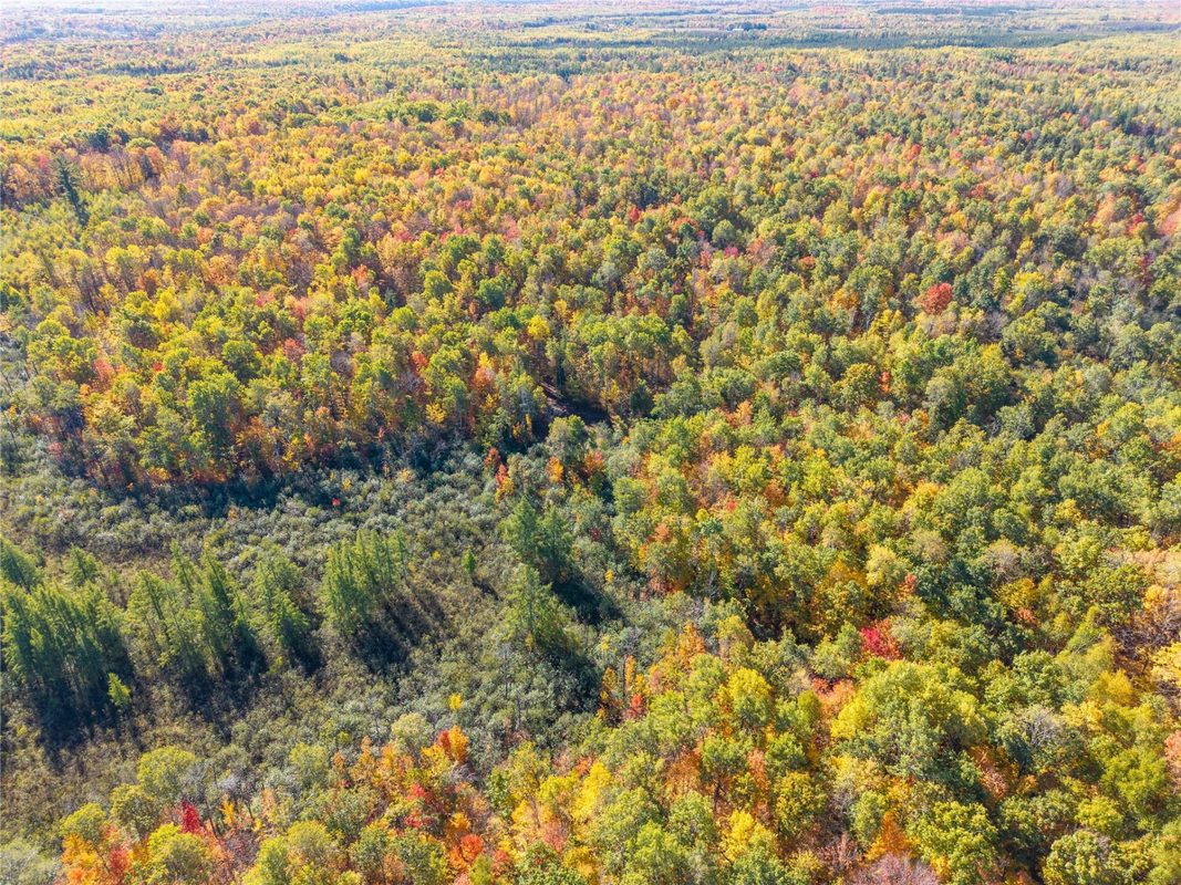 5 Acres Aggie Lane, Ladysmith WI 54848 - Land house for sale - MLS #1605699 - image13