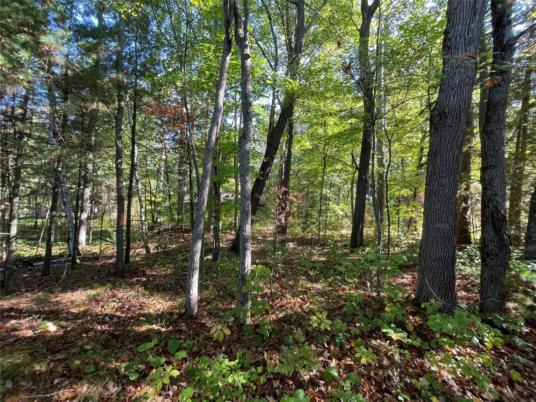 6073 Elsie Road, Stone Lake WI 54876 - Land house for sale - MLS #1602616 - image19