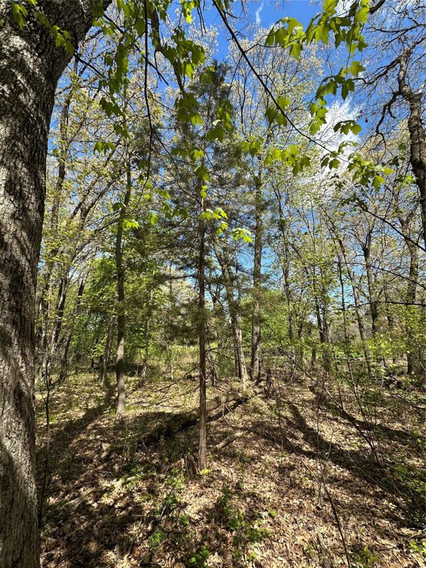 1438 Pleasant Hill Road, Eau Claire WI 54703 - Land house for sale - MLS #1602766 - image43