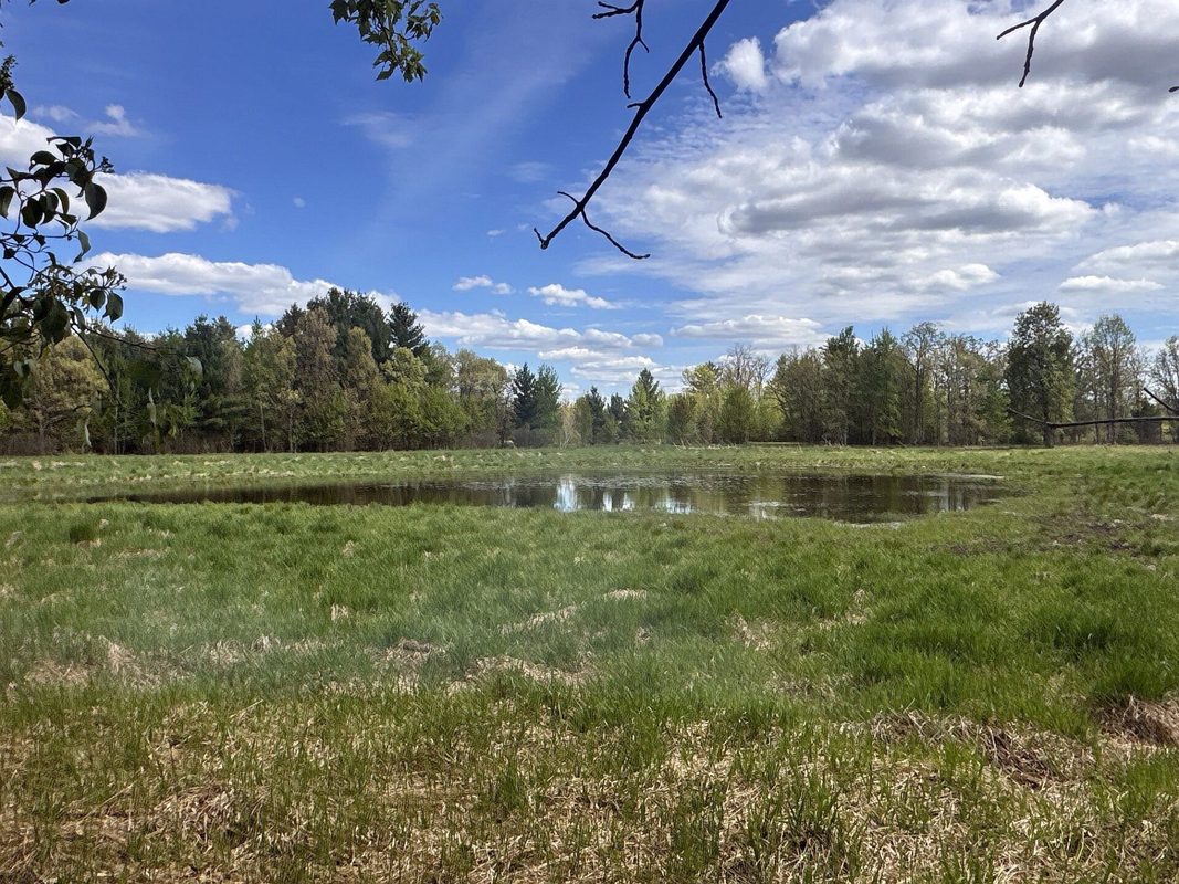 25275 Bruss Road, Webster WI 54893 - Land house for sale - MLS #1602158 - image23