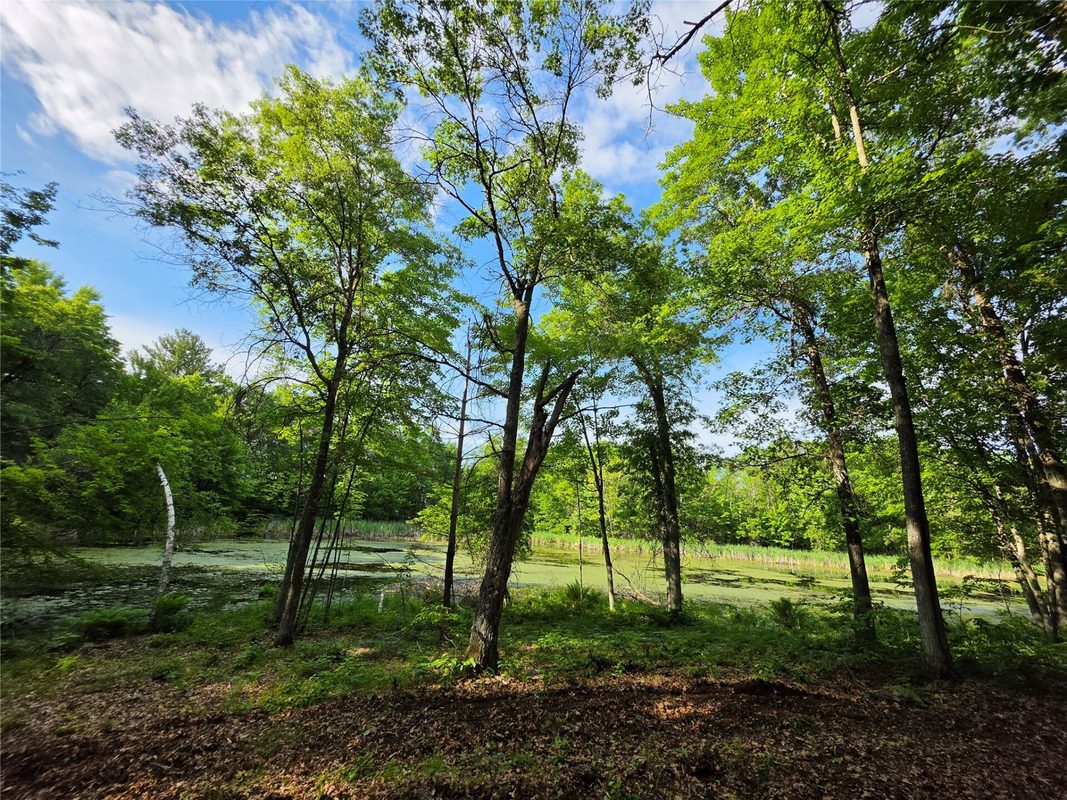 27646 295th (Lot 14) Avenue, Holcombe WI 54745 - Land house for sale - MLS #1602155 - image11