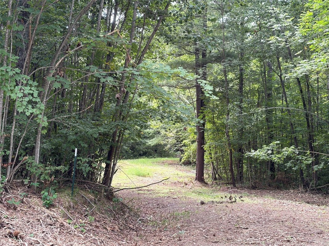 On Strabel Road, Stone Lake WI 54876 - Land house for sale - MLS #1604177 - image29