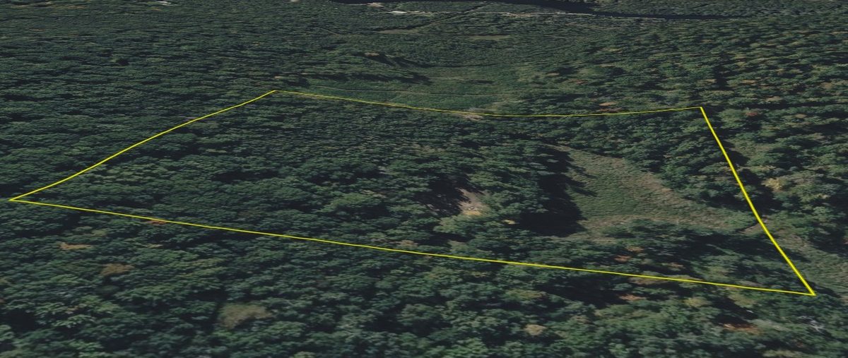 TBD Barrett Trail, Trego WI 54888 - Land house for sale - MLS #1600463 - image11