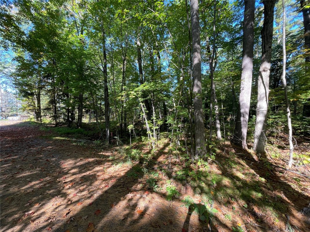 6073 Elsie Road, Stone Lake WI 54876 - Land house for sale - MLS #1602616 - image9