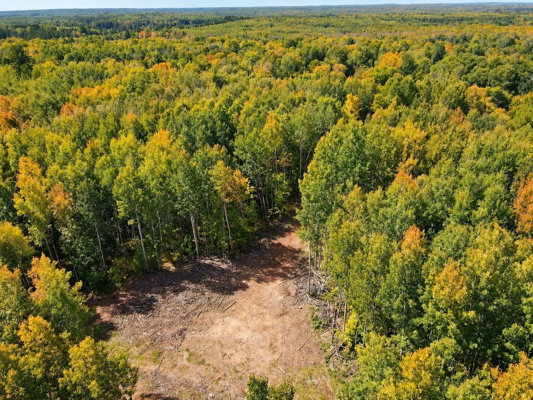 Parcel 4 County Road A, Solon Springs WI 54873 - Land house for sale - MLS #1604811 - image10