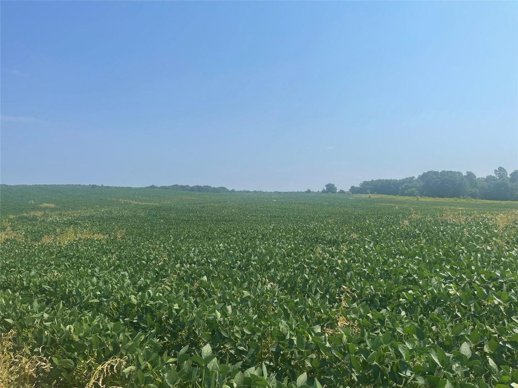 XXXX 190th Street, Centuria WI 54824 - Land house for sale - MLS #1605124 - image7