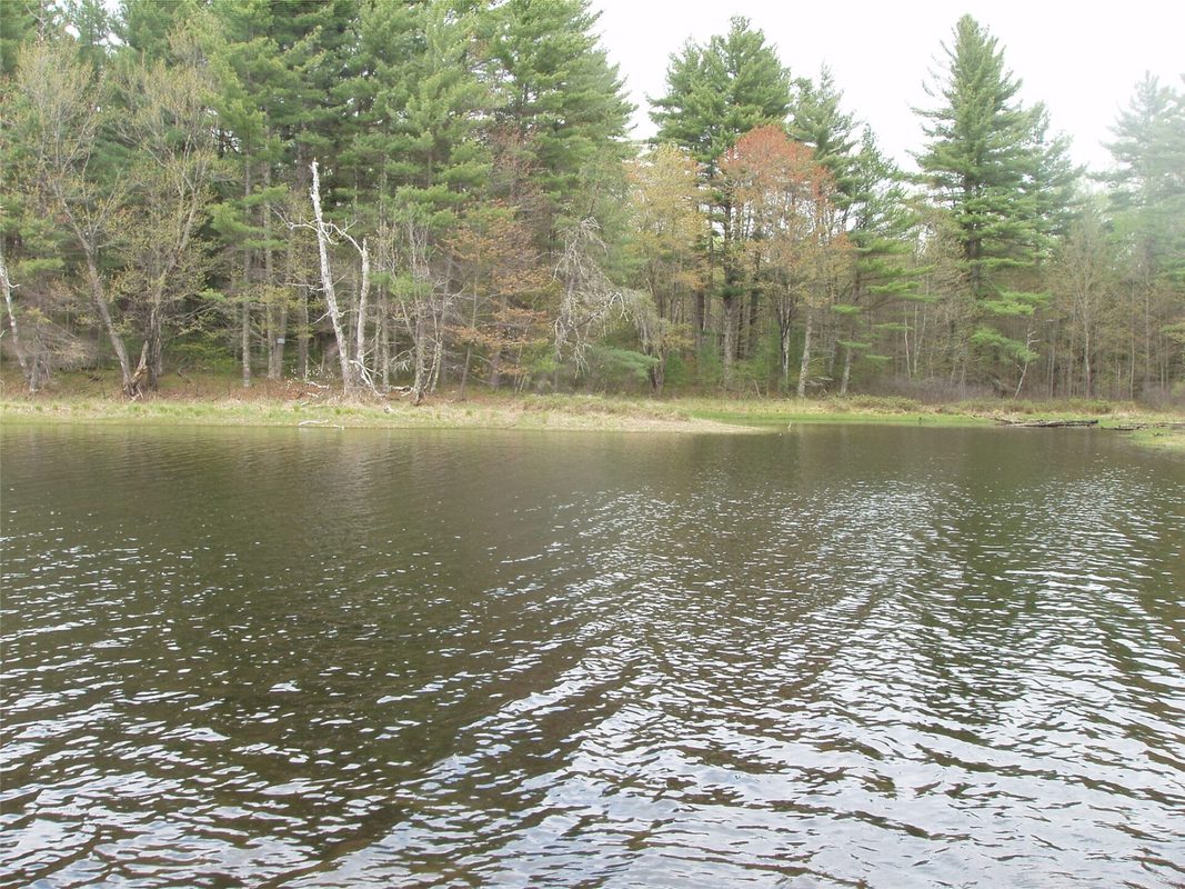 N16473 Patterson Lake Road, Park Falls WI 54552 - Land house for sale - MLS #1603551 - image5