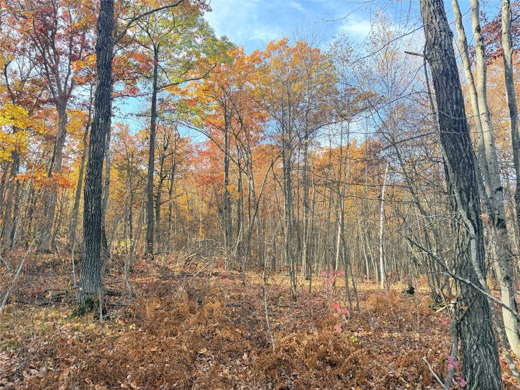 0 County Highway C, Rice Lake WI 54868 - Land house for sale - MLS #1605929 - image10
