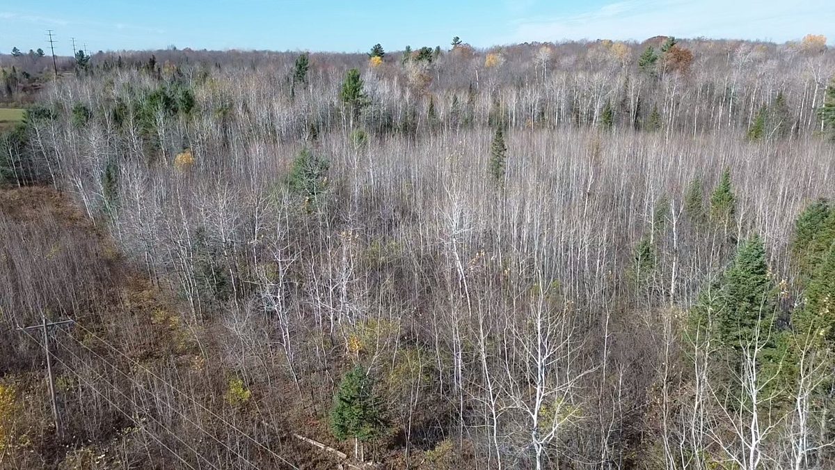 123XX W Jos R Chafer Road, Couderay WI 54828 - Land house for sale - MLS #1606292 - image14