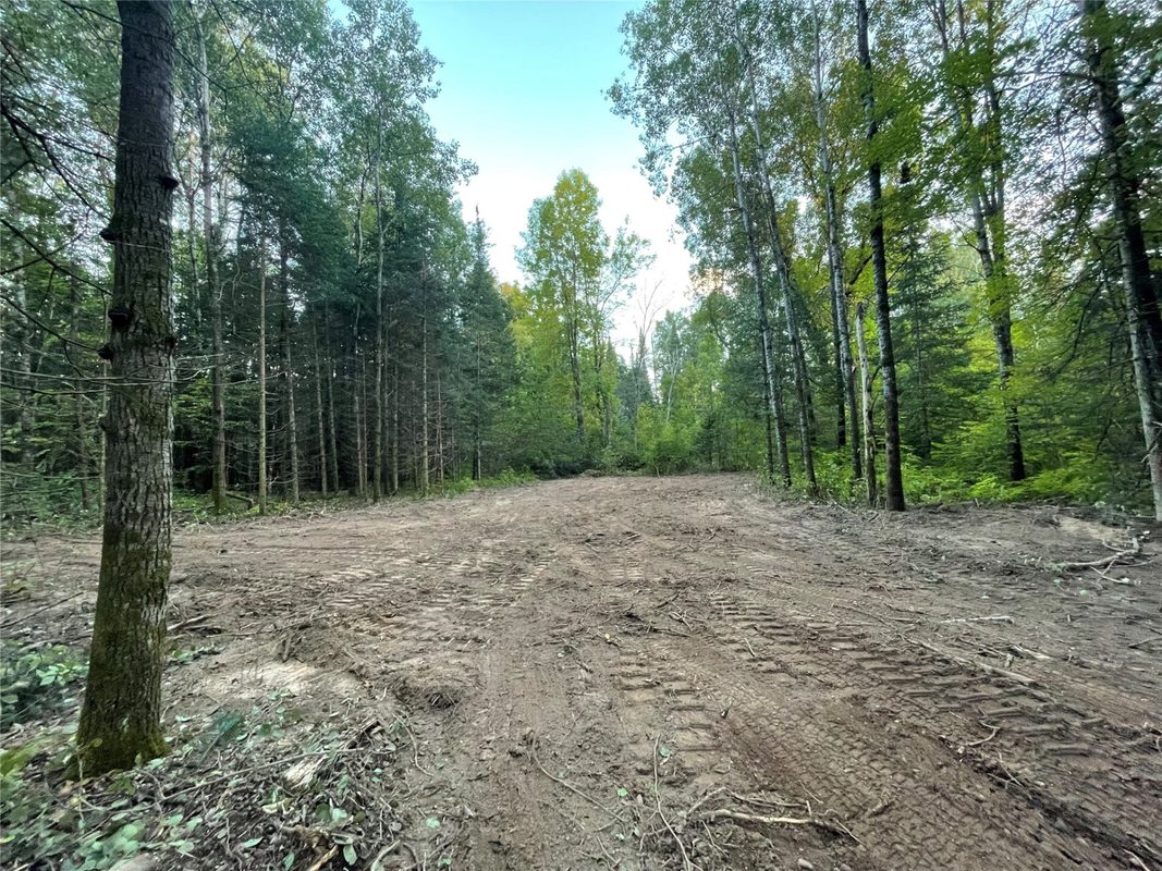 Lot 3 Fadness Road, Winter WI 54896 - Land house for sale - MLS #1605263 - image6