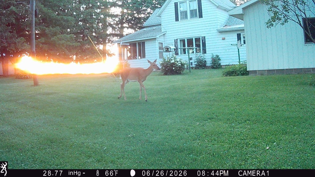 N3236 Nelson Road, Stockholm, WI