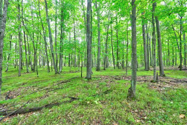 0 Twin Lake Road Hayward WI 54843