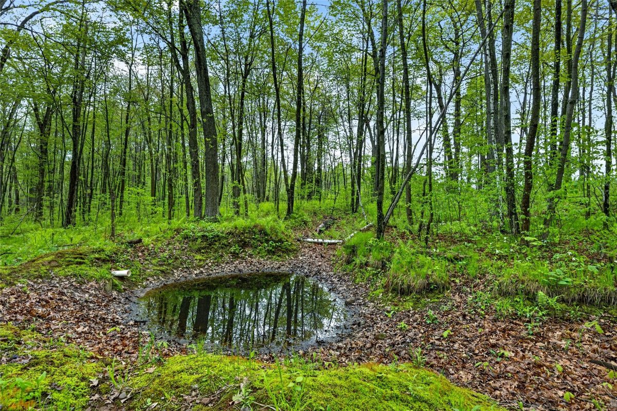 N8771 Fye Road, Trego WI 54888 - Land house for sale - MLS #1603147 - image10