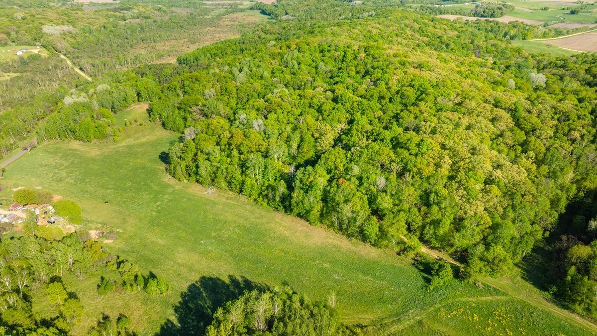 E3555 1120th Avenue, Boyceville WI 54725 - Land house for sale - MLS #1601582 - image19