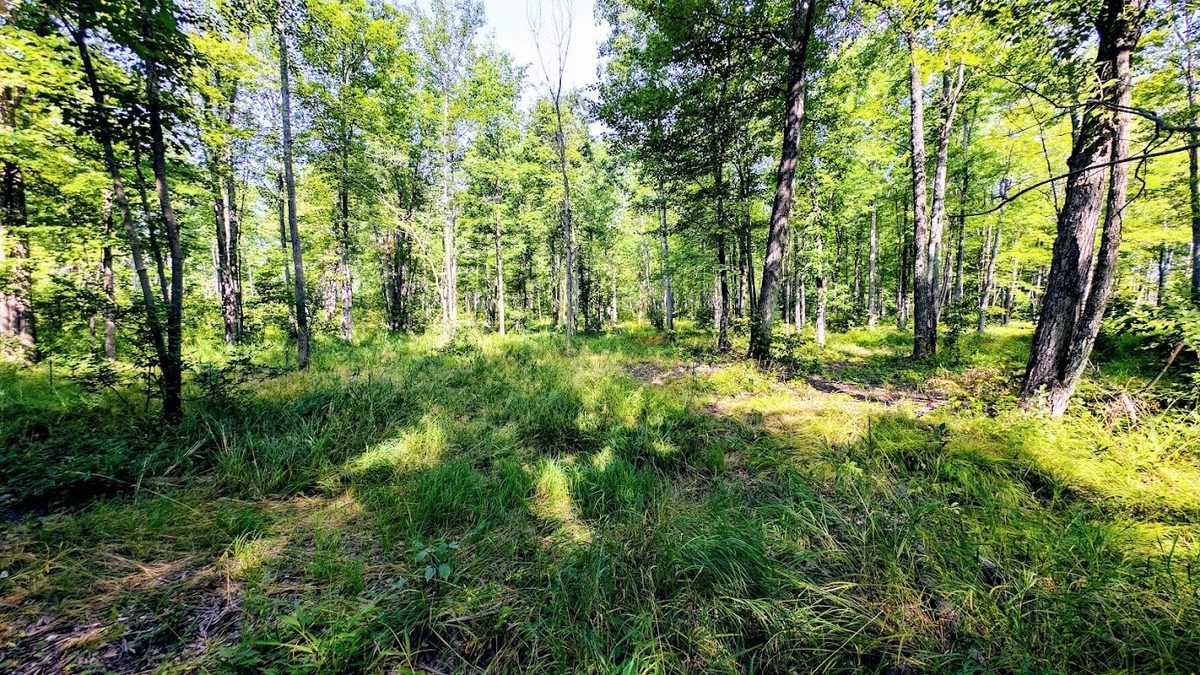 W8185 County Road J, Ladysmith WI 54848 - Land house for sale - MLS #1604406 - image31