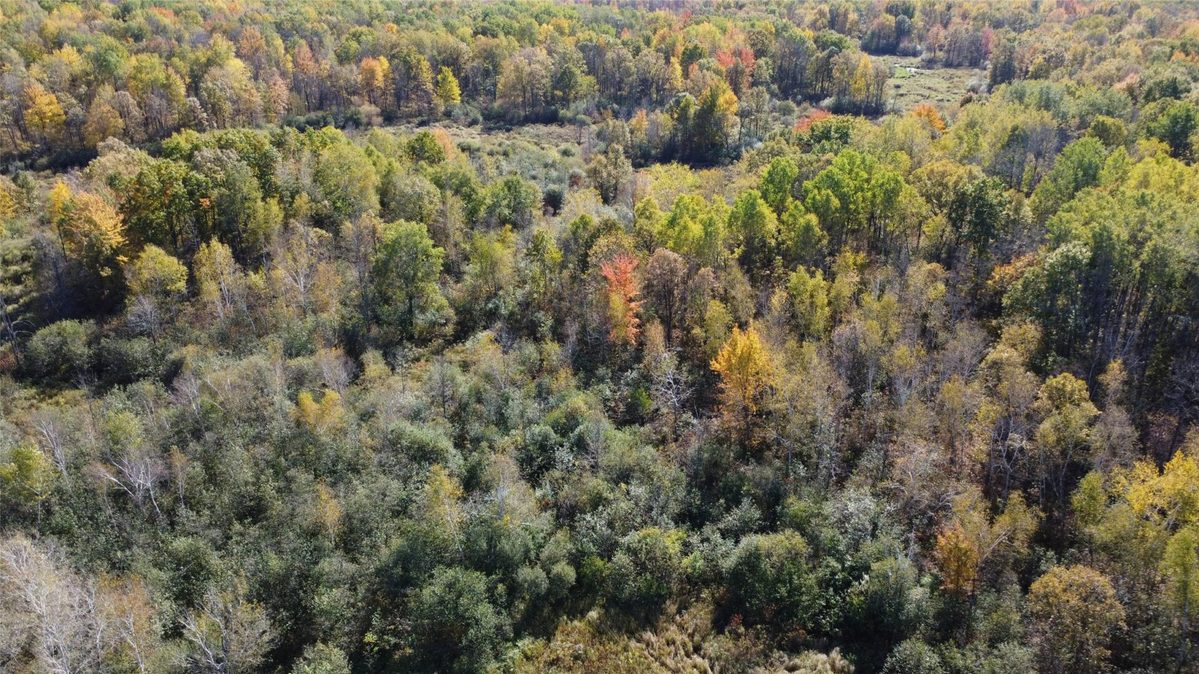 OOO Richfield Wood Road, Arpin WI 54410 - Land house for sale - MLS #1605936 - image8