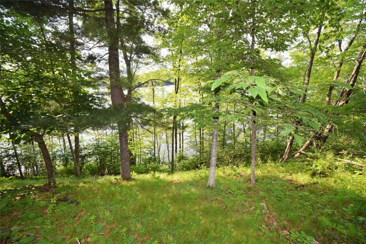 7230 County Road U, Danbury WI 54830 - Land house for sale - MLS #1602895 - image6