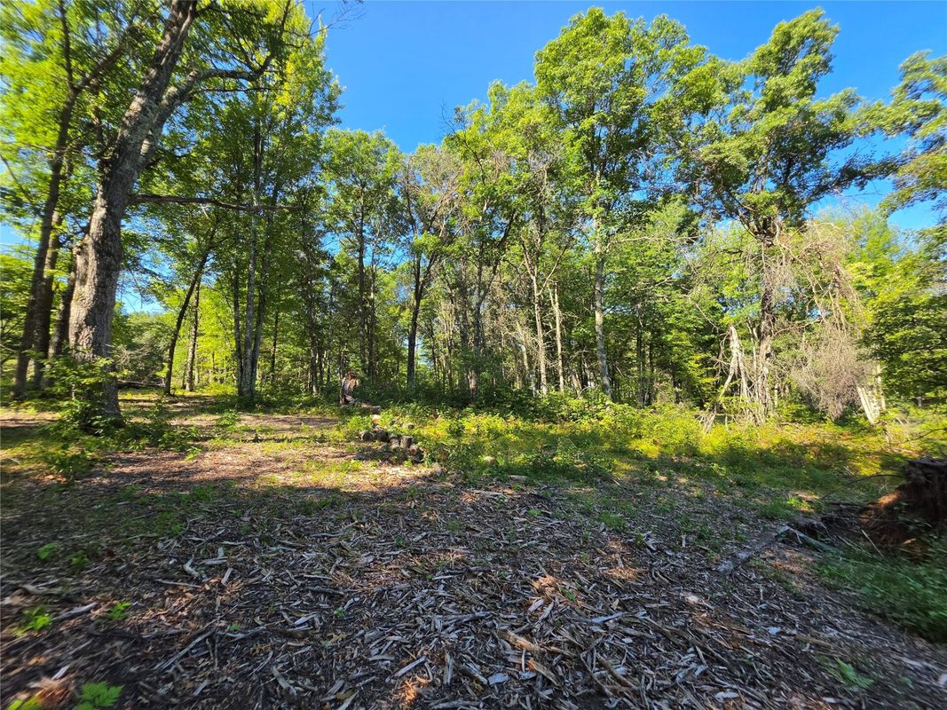 27696 295th (Lot 15) Street, Holcombe WI 54745 - Land house for sale - MLS #1604256 - image8