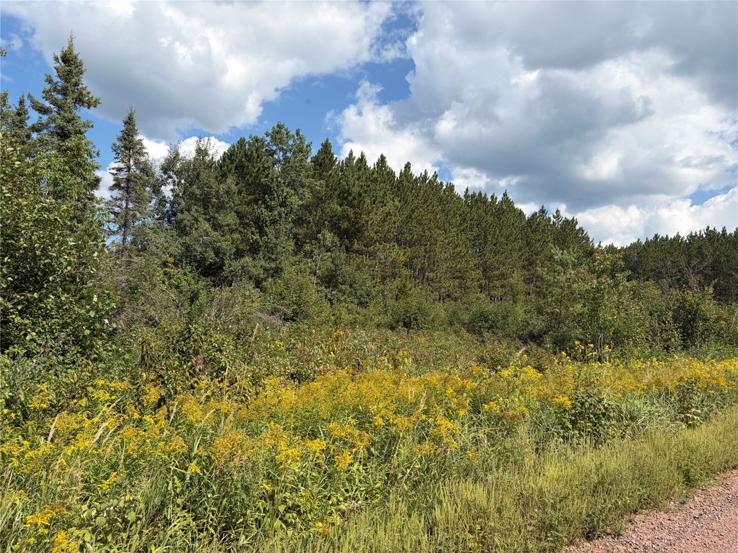 On Dark Corner Road, Ashland WI 54806 - Land house for sale - MLS #1604481 - image2