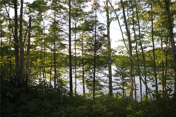 Lot  1 Timber Wolf Drive Springbrook WI 54875