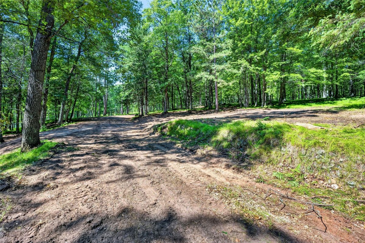 51260 Birch Lake Road, Barnes WI 54873 - Land house for sale - MLS #1603549 - image19