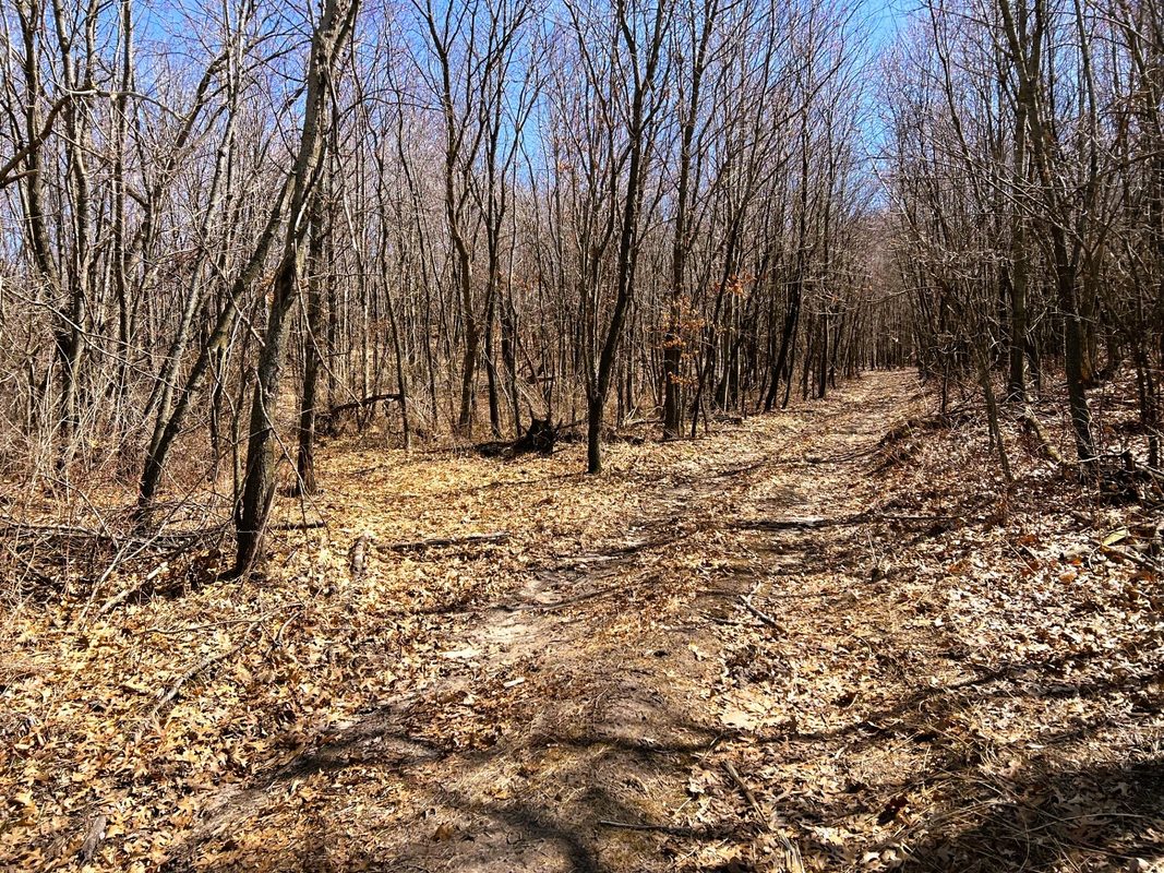000 Pete Coulee Road, Taylor, WI — photo 48