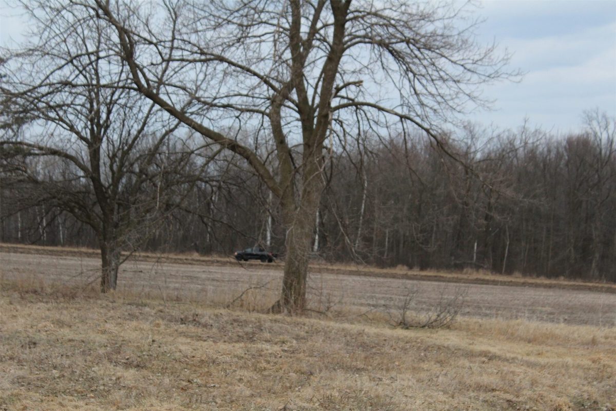 1563 N Helena Drive Holcombe WI 54731 — photo 24